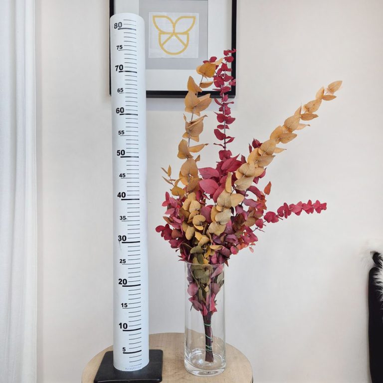 Eukaliptus stabilizowany wiecznie żywy bukiet mix kolorów