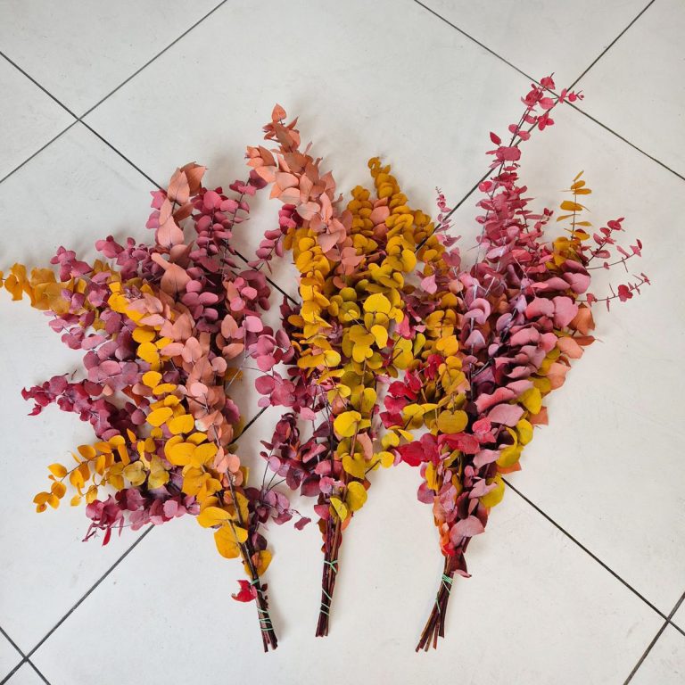 Eukaliptus stabilizowany wiecznie żywy bukiet mix kolorów