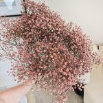 Gipsówka stabilizowana wiecznie żywa brązowa duży bukiet