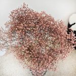 Gipsówka stabilizowana wiecznie żywa brązowa duży bukiet