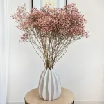 Gipsówka stabilizowana wiecznie żywa brązowa duży bukiet