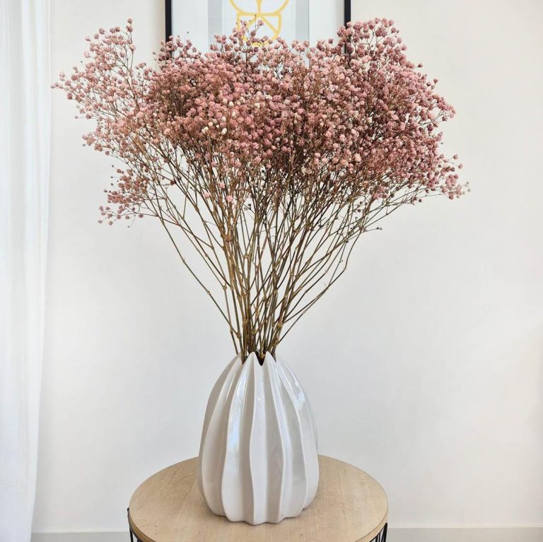 Gipsówka stabilizowana wiecznie żywa brązowa duży bukiet