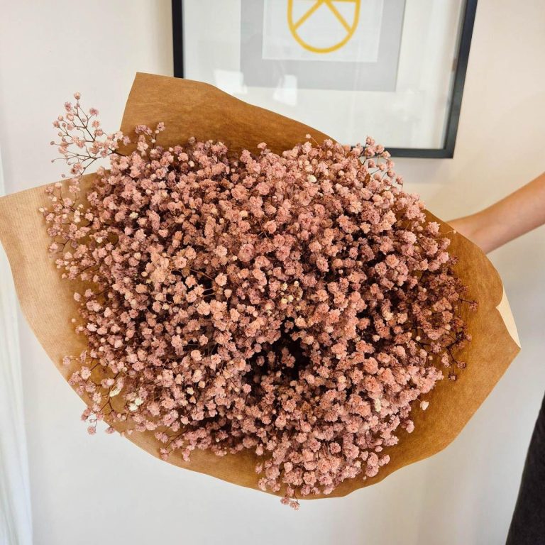 Gipsówka stabilizowana wiecznie żywa brązowa duży bukiet