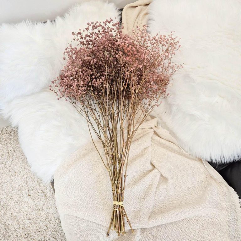 Gipsówka stabilizowana wiecznie żywa brązowa duży bukiet