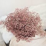 Gipsówka stabilizowana wiecznie żywa brązowa duży bukiet