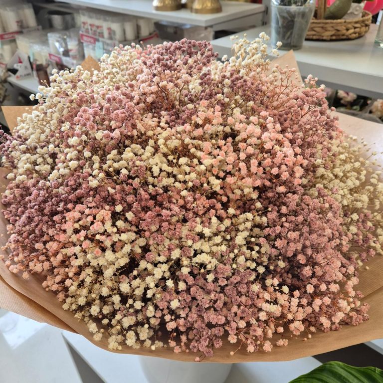 Gipsówka stabilizowana wiecznie żywa brązowa duży bukiet