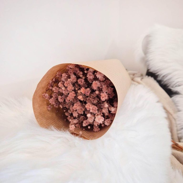 Gipsówka stabilizowana wiecznie żywa brązowa mały bukiet