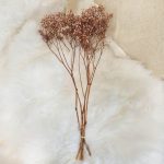 Gipsówka stabilizowana wiecznie żywa brązowa mały bukiet