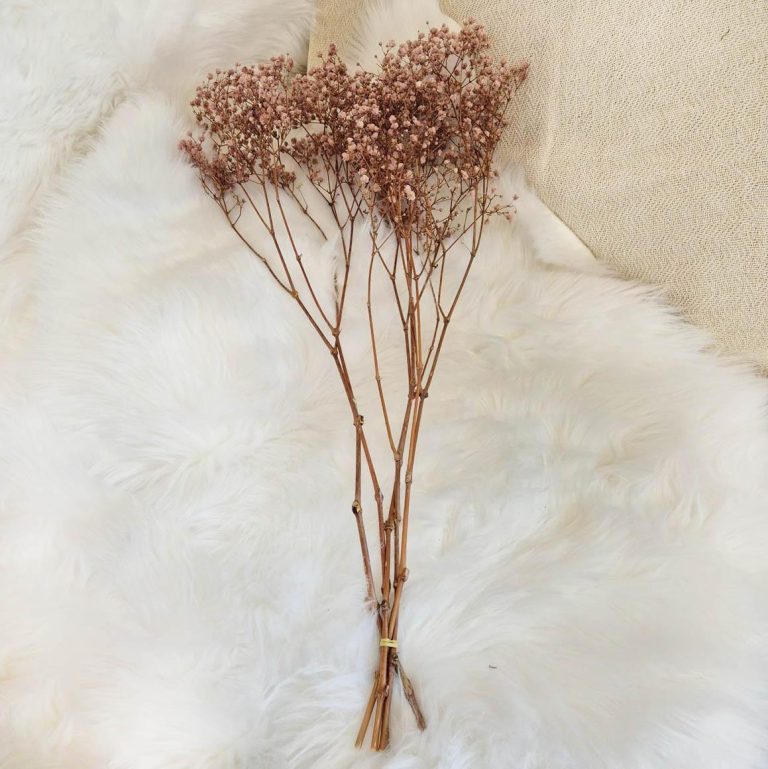 Gipsówka stabilizowana wiecznie żywa brązowa mały bukiet