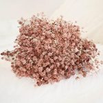 Gipsówka stabilizowana wiecznie żywa brązowa mały bukiet