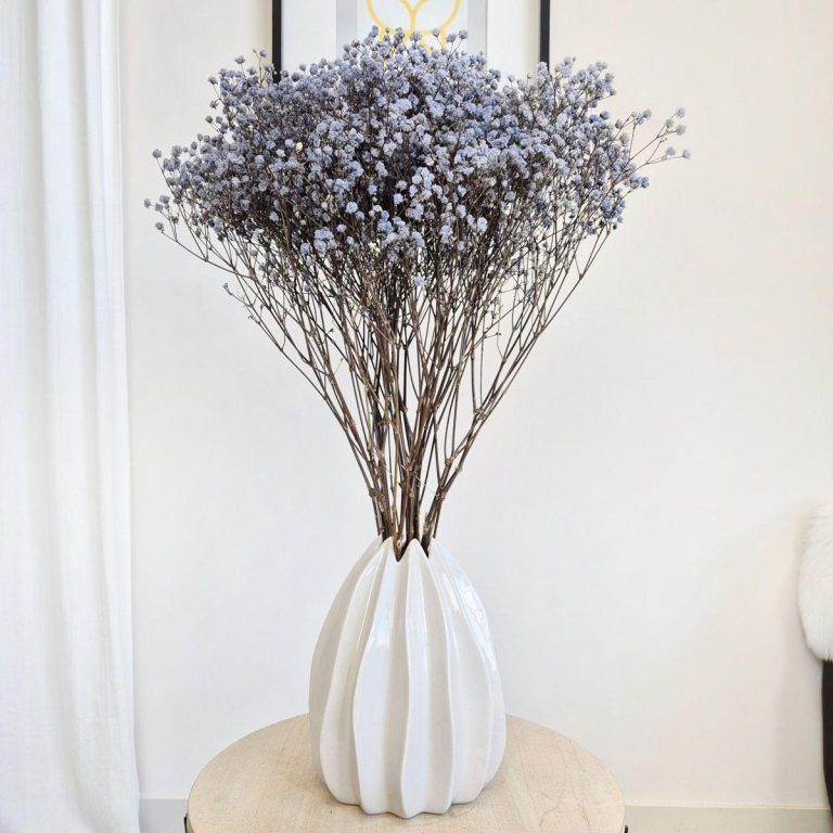 Gipsówka stabilizowana wiecznie żywa granatowa duży bukiet