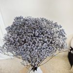 Gipsówka stabilizowana wiecznie żywa granatowa duży bukiet