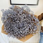 Gipsówka stabilizowana wiecznie żywa granatowa duży bukiet