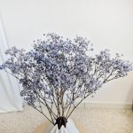 Gipsówka stabilizowana wiecznie żywa granatowa mały bukiet