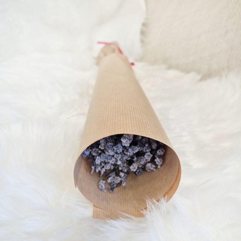 Gipsówka stabilizowana wiecznie żywa granatowa mały bukiet