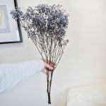 Gipsówka stabilizowana wiecznie żywa granatowa mały bukiet