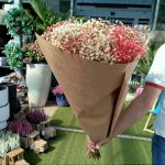 Gipsówka stabilizowana wiecznie żywa jesienny duży bukiet