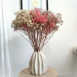 Gipsówka stabilizowana wiecznie żywa jesienny duży bukiet