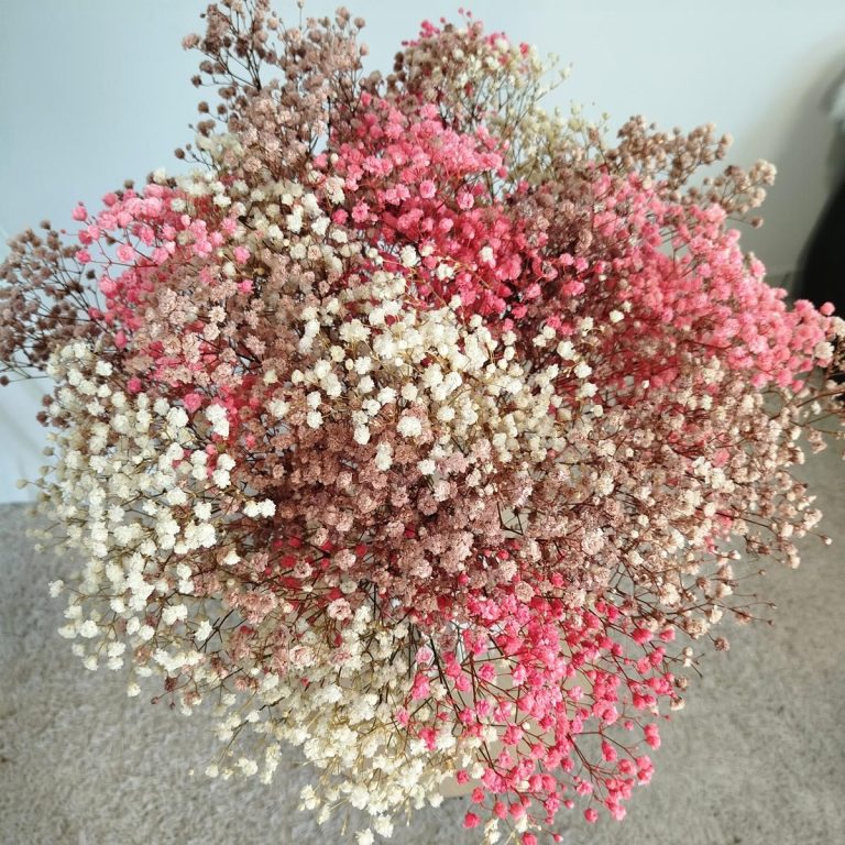 Gipsówka stabilizowana wiecznie żywa jesienny duży bukiet