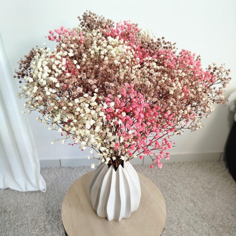 Gipsówka stabilizowana wiecznie żywa jesienny duży bukiet