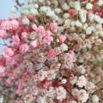 Gipsówka stabilizowana wiecznie żywa jesienny duży bukiet