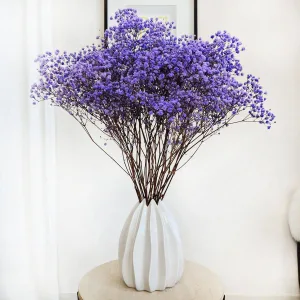 Gipsówka stabilizowana wiecznie żywa lawendowa duży bukiet