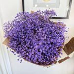 Gipsówka stabilizowana wiecznie żywa lawendowa duży bukiet