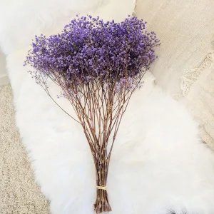 Gipsówka stabilizowana wiecznie żywa lawendowa duży bukiet