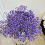 Gipsówka stabilizowana wiecznie żywa lawendowa duży bukiet