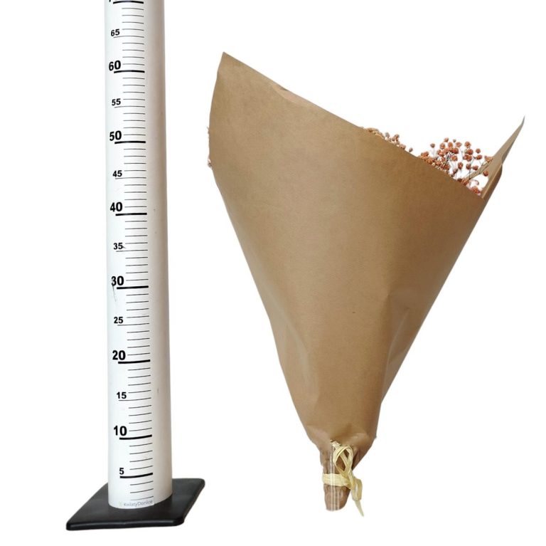 Gipsówka stabilizowana wiecznie żywa lawendowa duży bukiet