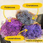 Gipsówka stabilizowana wiecznie żywa lawendowa duży bukiet