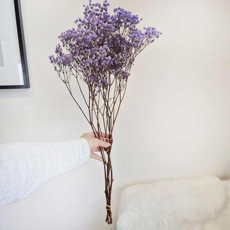 Gipsówka stabilizowana wiecznie żywa lawendowa mały bukiet