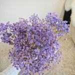 Gipsówka stabilizowana wiecznie żywa lawendowa mały bukiet