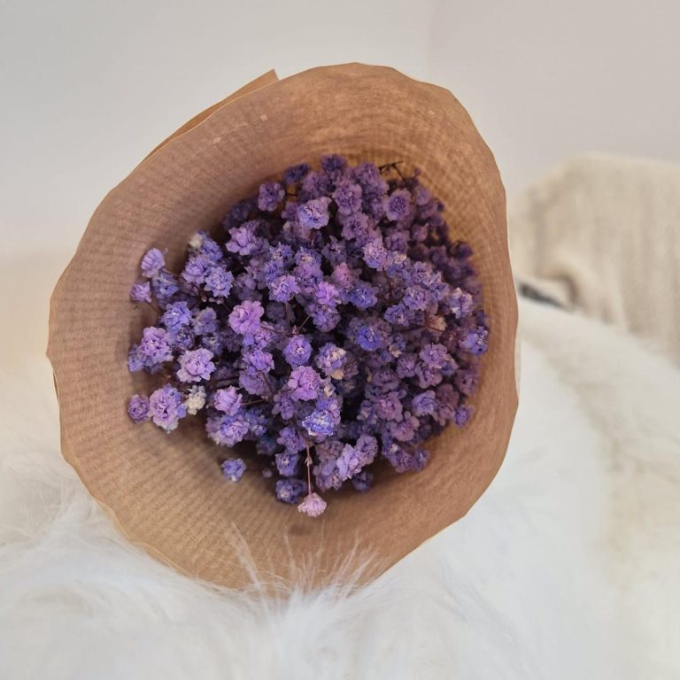 Gipsówka stabilizowana wiecznie żywa lawendowa mały bukiet