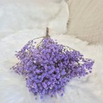 Gipsówka stabilizowana wiecznie żywa lawendowa mały bukiet