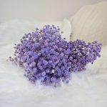 Gipsówka stabilizowana wiecznie żywa lawendowa mały bukiet