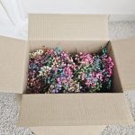 Gipsówka stabilizowana wiecznie żywa mini box 100g mix kolorów