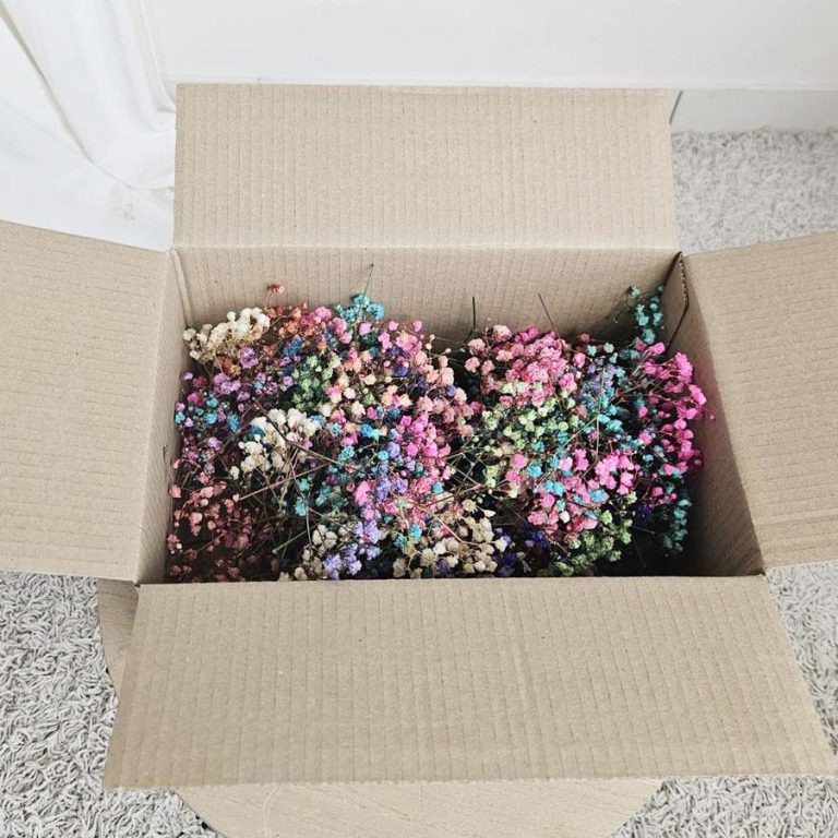 Gipsówka stabilizowana wiecznie żywa mini box 100g mix kolorów