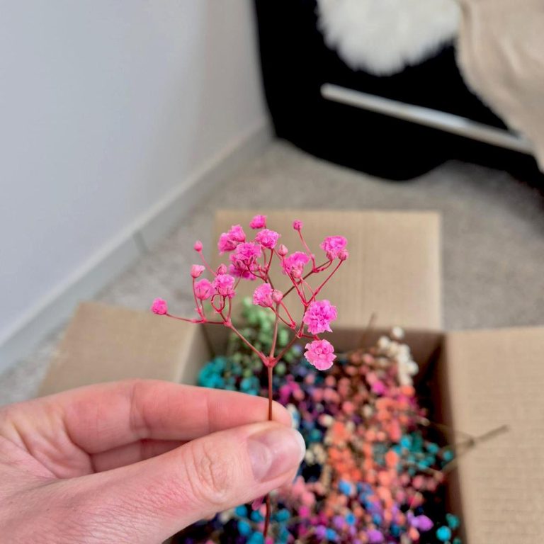 Gipsówka stabilizowana wiecznie żywa mini box 100g mix kolorów