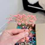 Gipsówka stabilizowana wiecznie żywa mini box 100g mix kolorów