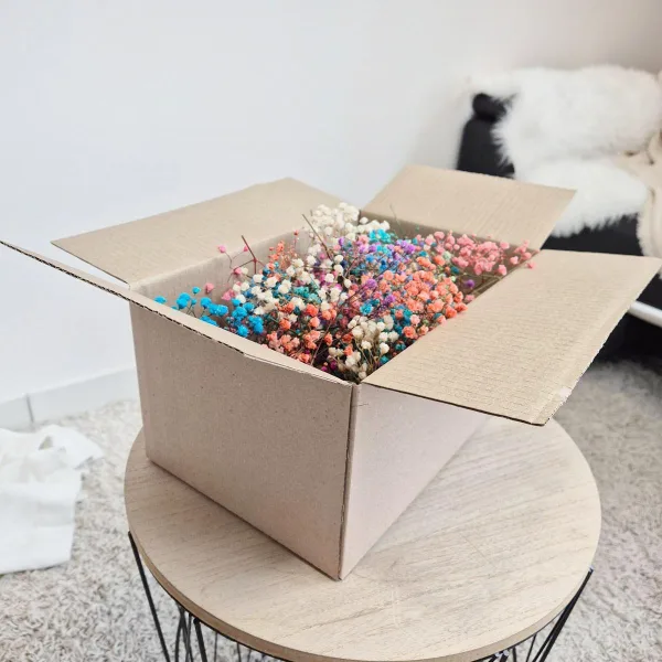 Gipsówka stabilizowana wiecznie żywa mini box 80g kolorowa