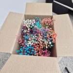 Gipsówka stabilizowana wiecznie żywa mini box 100g mix kolorów