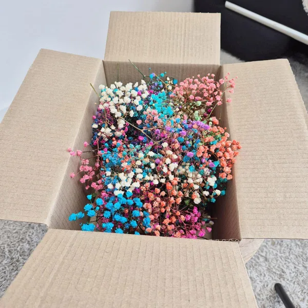 Gipsówka stabilizowana wiecznie żywa mini box 80g kolorowa