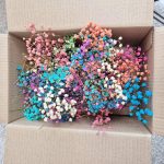 Gipsówka stabilizowana wiecznie żywa mini box 100g mix kolorów