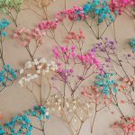 Gipsówka stabilizowana wiecznie żywa mini box 100g mix kolorów