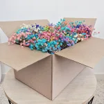 Gipsówka stabilizowana wiecznie żywa mini box 80g kolorowa