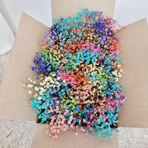 Gipsówka stab. mix kolorów D mini - box 80g