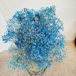 Gipsówka stabilizowana wiecznie żywa niebieska ciemna duży bukiet