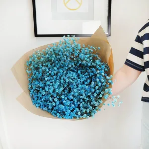 Gipsówka stabilizowana wiecznie żywa niebieska ciemna duży bukiet