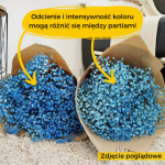 Gipsówka stabilizowana wiecznie żywa niebieska ciemna duży bukiet